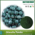 High quality health food spirulina and chlorella powder